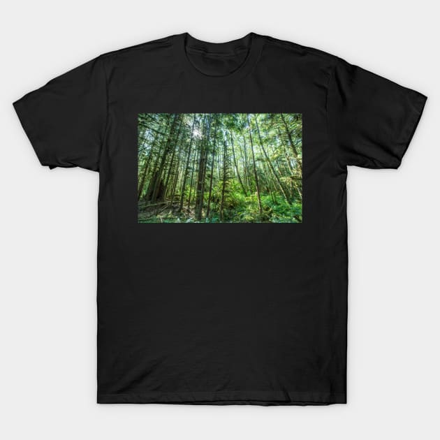 Hoh Rainforest #3 T-Shirt by Sidetrakn